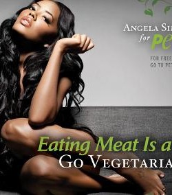 Angela Simmons PETA (1) Angela Simmons PETA (1)